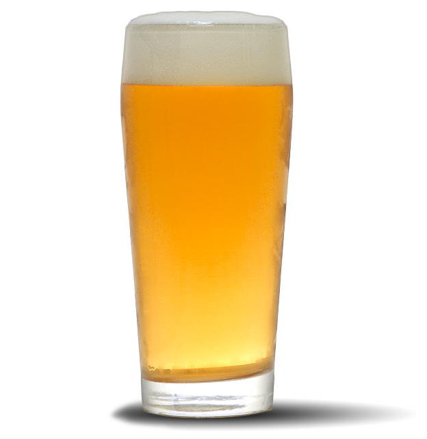 New England IPA Extract with Grains version Bader Beer & Wine Supply